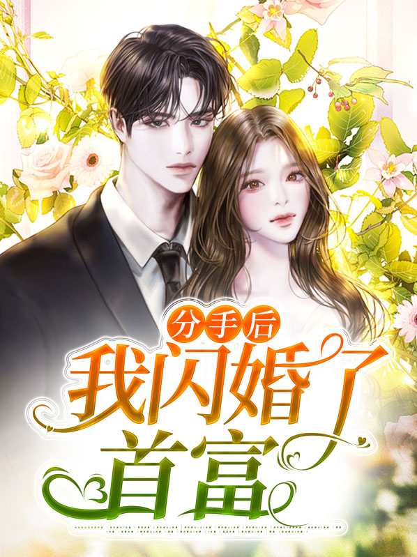 分手后我闪婚了首富