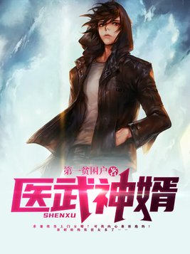 医武神婿