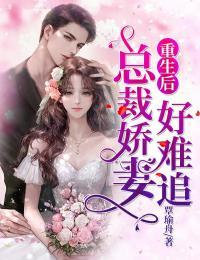 重生后:总裁娇妻好难追