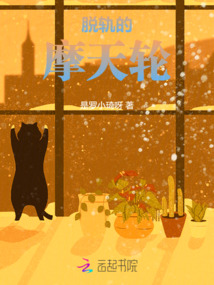 摩天轮失控视频