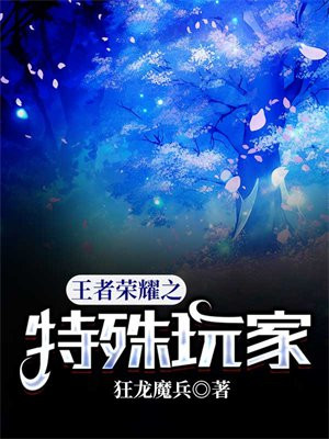 王者荣耀之特殊玩家