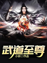 武道至尊动漫