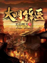 刘诗诗大明医妃