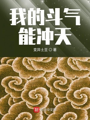 我的斗气能冲天