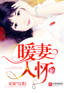 暖妻入怀