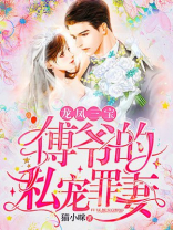 龙凤三宝:傅爷的私宠罪妻