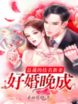 好婚晚成：总裁的挂名新妻