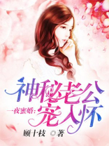 一夜蜜婚:神秘老公宠入怀