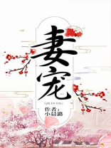 妻宠