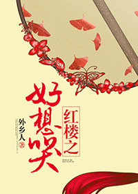 红楼之好想哭小说