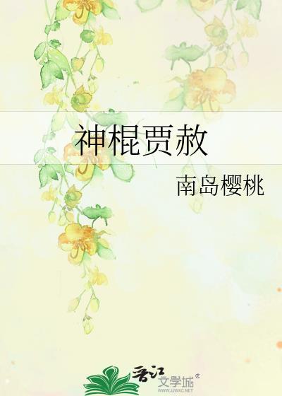 类似神棍贾赦