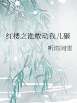 红楼之谁家妖孽 小说