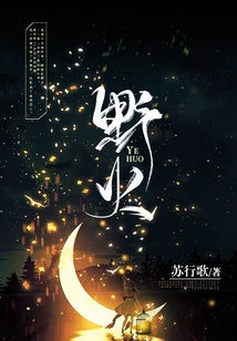 野火夏布多昂免费阅读笔趣阁