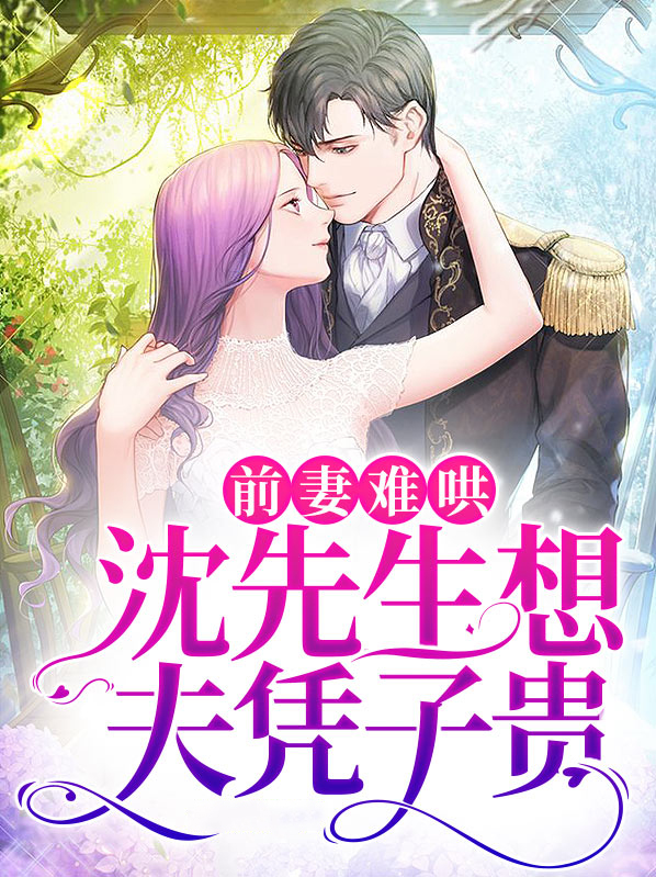 前妻难哄,沈先生想夫凭子贵