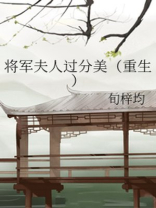 将军夫人过分美