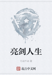 亮剑人生TXT下载