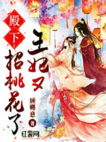 殿下,王妃又招桃花了下载