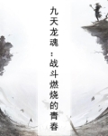 九天龙魂：战斗燃烧的青春