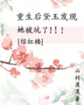[综红楼]重生后黛玉发现她被坑了