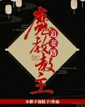 魔教教主追妻路