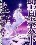 圣皇天下
