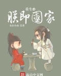 重生之朕要亡国