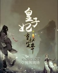 皇子妃重生秘辛