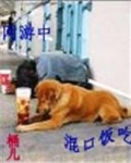 网游中混口饭吃