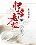 归墟老祖他一身正气