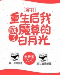 重生后我成了魔尊的白月光
