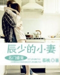 名门盛宠之辰少的小妻