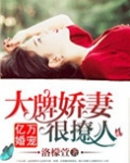 亿万婚宠：大牌娇妻很撩人