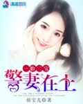 一胎二宝警妻在上