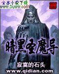 暗黑圣魔导