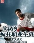 大叔的疯狂职业生涯
