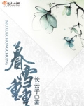 暮雪重重