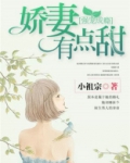 强宠成瘾：娇妻有点甜
