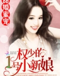 甜婚蜜宠：权少的1号小新娘