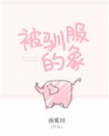 被驯服的象
