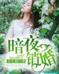 暗夜销婚