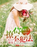 名门独宠，撩你不犯法