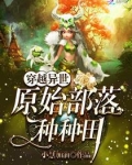 穿越异世：原始部落种种田
