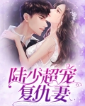 陆少超宠复仇妻