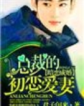 暗恋成婚，总裁的初恋爱妻