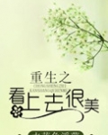 重生之看上去很美