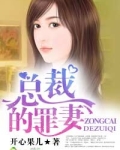 总裁的罪妻