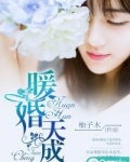 暖婚天成