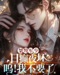 桀骜军少日癫夜坏,呜!我不要了