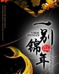 一别锦年