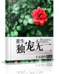 重生之独爱无二